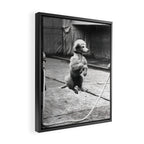 Poodle Jumping Rope, Black and White, Vintage Art Framed Canvas Print Gallery Image 2