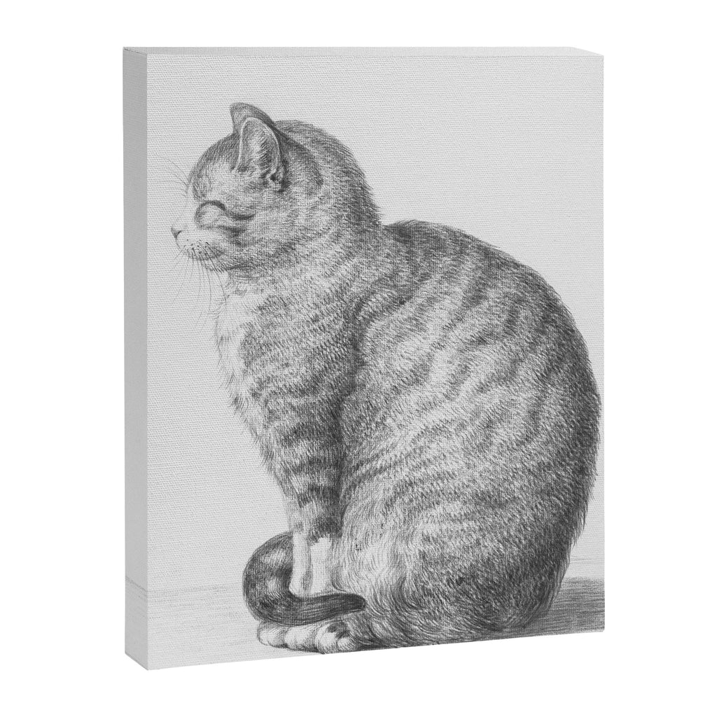 Tabby Cat, Vintage Black and White Cat Drawing Canvas Print Gallery Image 6
