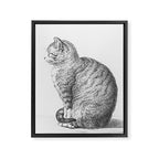Tabby Cat, Vintage Black and White Cat Drawing Framed Canvas Print Gallery Image 6