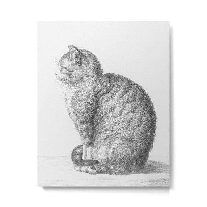 Tabby Cat, Vintage Black and White Cat Drawing Metal Print Gallery Image 1
