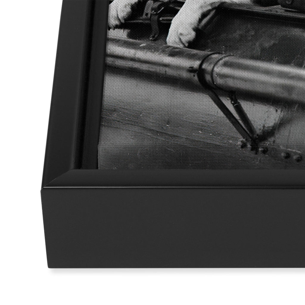 Woman Pilot and Dog, Black and White Vintage Art Framed Canvas Print Gallery Image 3