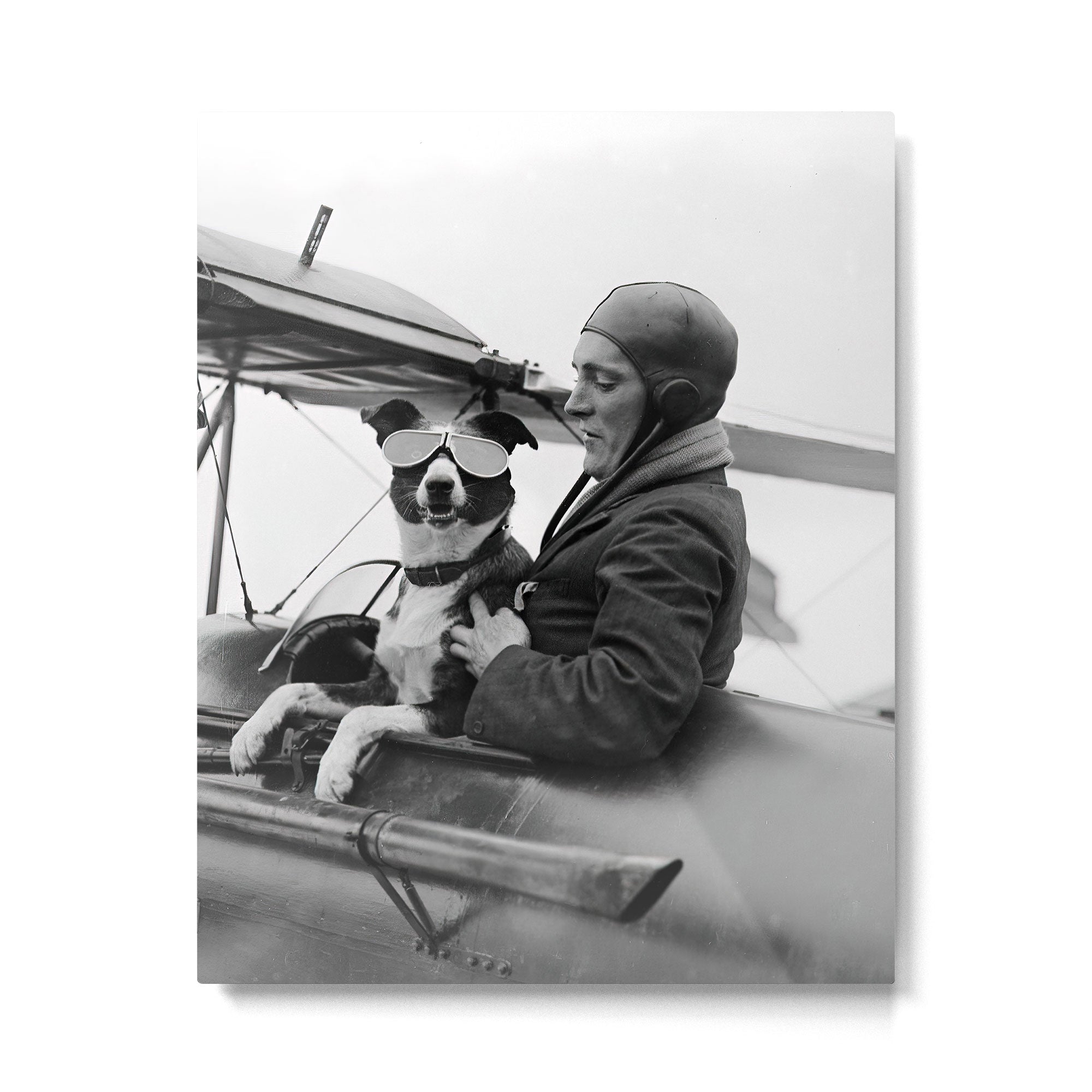 Woman Pilot and Dog, Black and White Vintage Art Metal Print Gallery Image 4