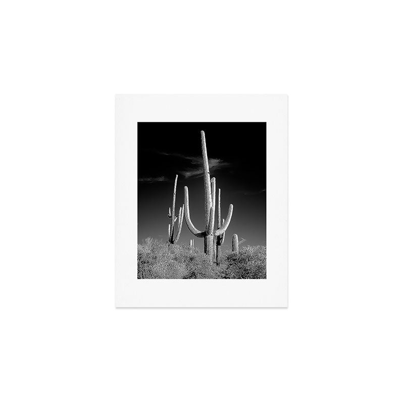 Black and White Saguaro Cactus Photo Art Print Gallery Image 1