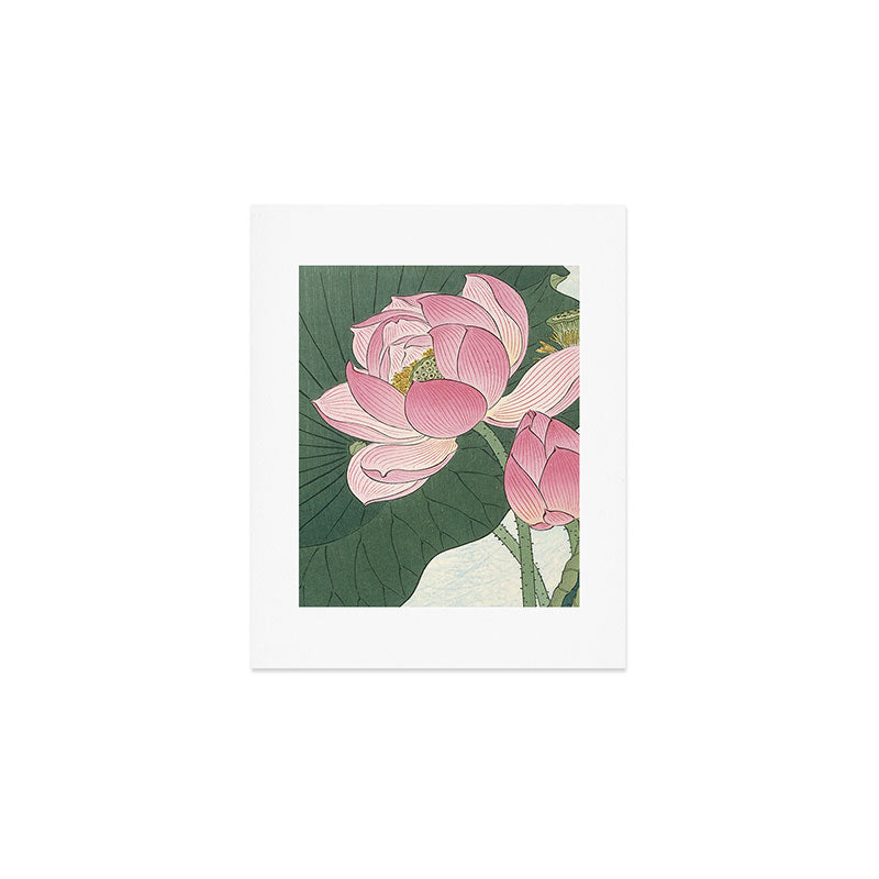 Flowering lotus flowers, Ohara Koson Art Print Gallery Image 1