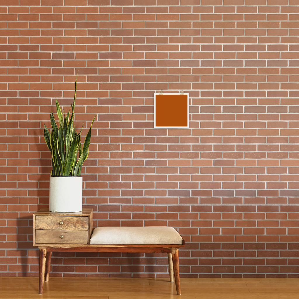 Ginger - Solid Color Collection Art Print Gallery Image 2