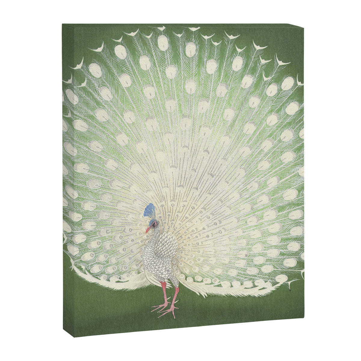 Peacock, Ohara Koson - Japanese Woodcut Canvas Print Gallery Image 6