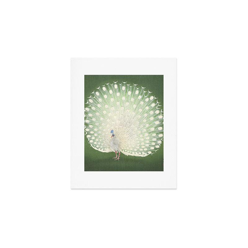 Peacock, Ohara Koson - Japanese Woodcut Art Print Gallery Image 1