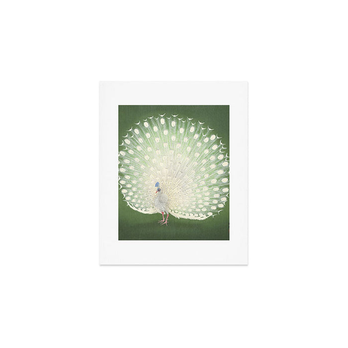 Peacock, Ohara Koson - Japanese Woodcut Art Print Gallery Image 1