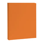 Tangerine - Solid Color Collection Canvas Print Gallery Image 8