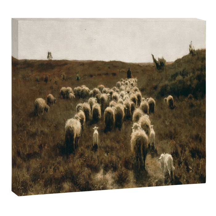 The Return of the Flock, Laren by Anton Mauve Canvas Print Gallery Image 1