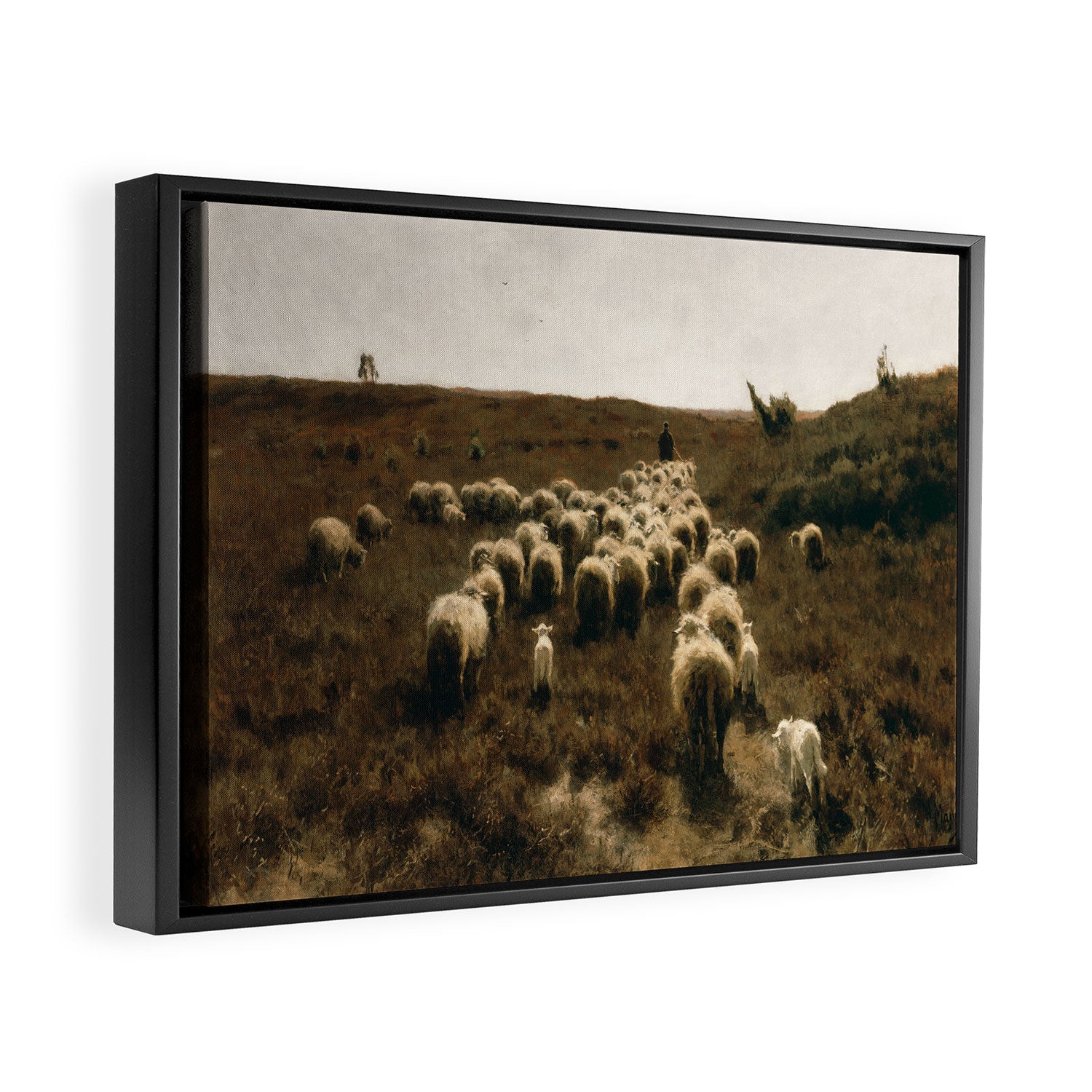 The Return of the Flock, Laren by Anton Mauve Framed Canvas Print Gallery Image 2