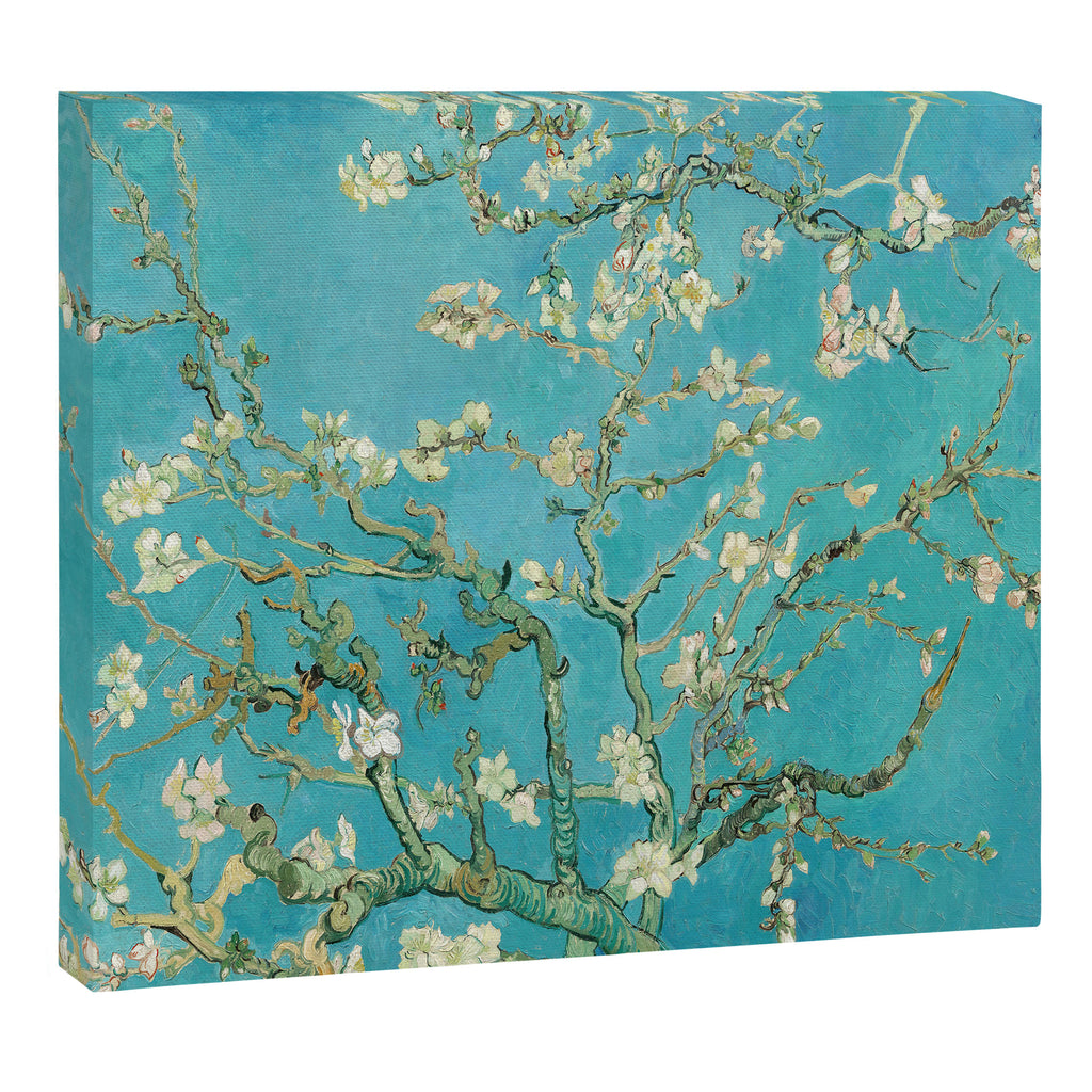 Van Gogh Almond Blossoms Painting Canvas Print Gallery Image 12