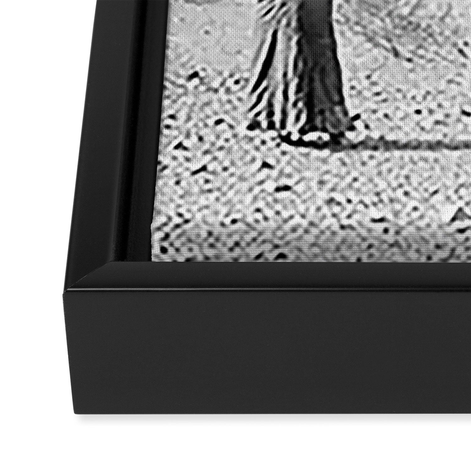 Vintage Native American Photo with Saguao Cactus Framed Canvas Print Gallery Image 3