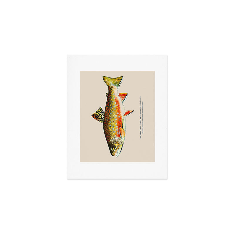 Brook Trout Art Print Gallery Image 1