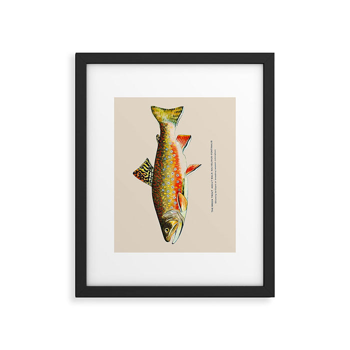 Brook Trout Framed Art Print Gallery Image 1