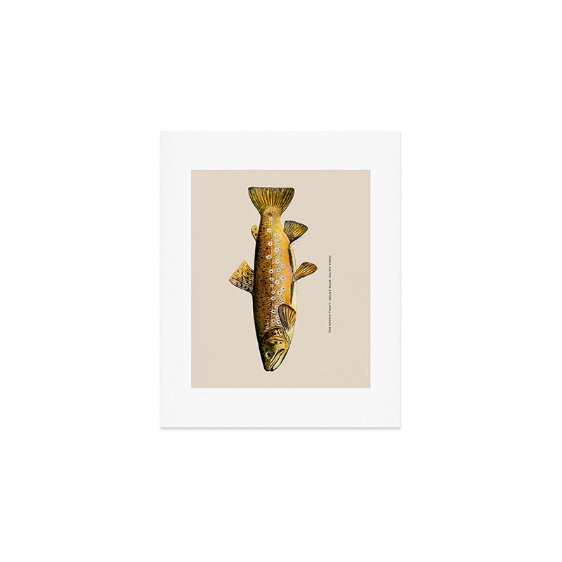The Brown Trout Art Print Gallery Image 1