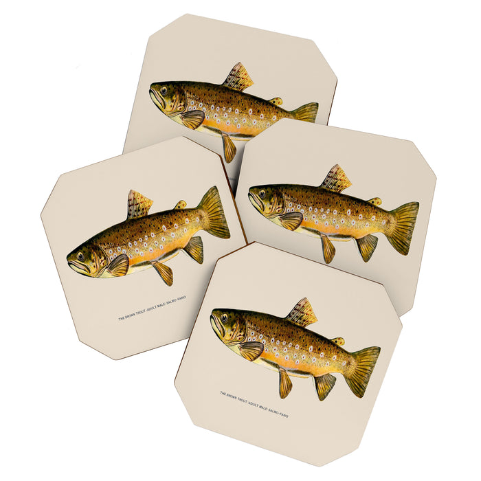 The Brown Trout Coaster Gallery Image 1