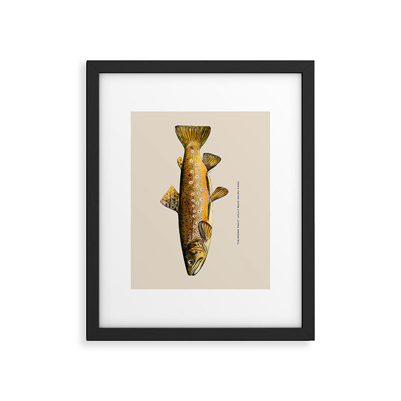 The Brown Trout Framed Art Print Gallery Image 5