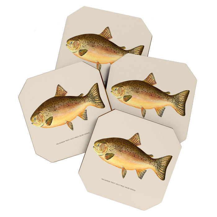 The Rainbow Trout Coaster Gallery Image 1