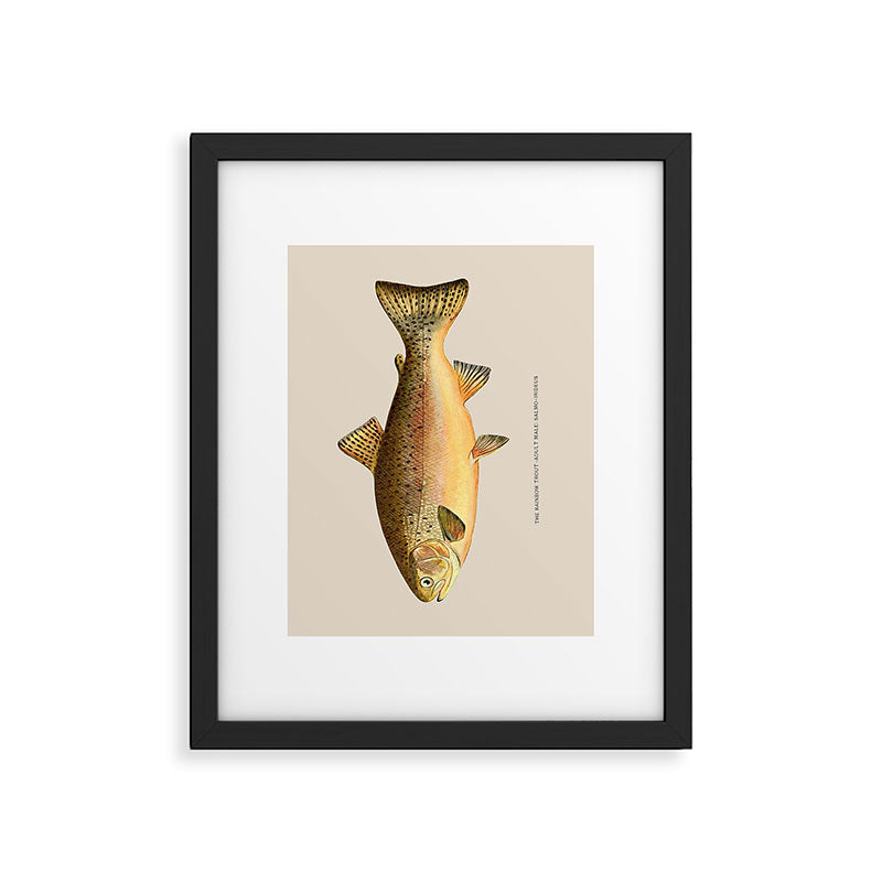 The Rainbow Trout Framed Art Print Gallery Image 5