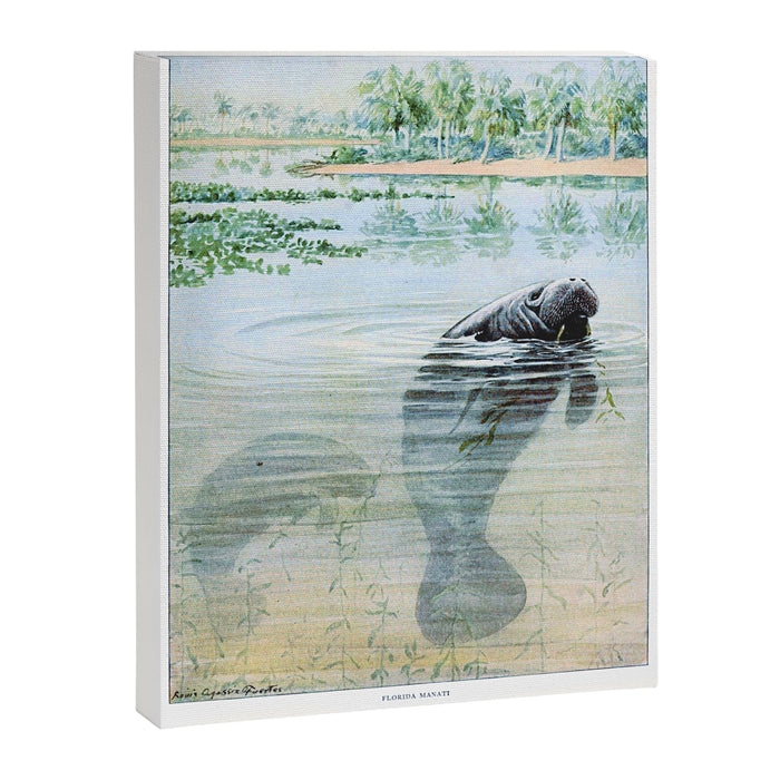 Vintage Florida Manatee Canvas Print Gallery Image 1