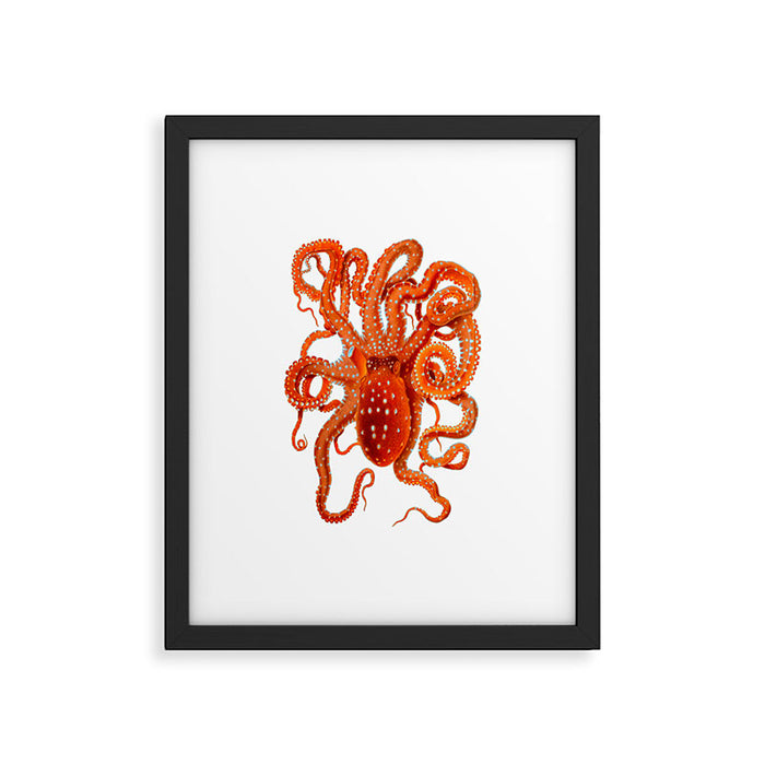 Vintage Octopus Framed Art Print Gallery Image 1