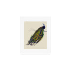 Vintage Peacock Art Print Gallery Image 1