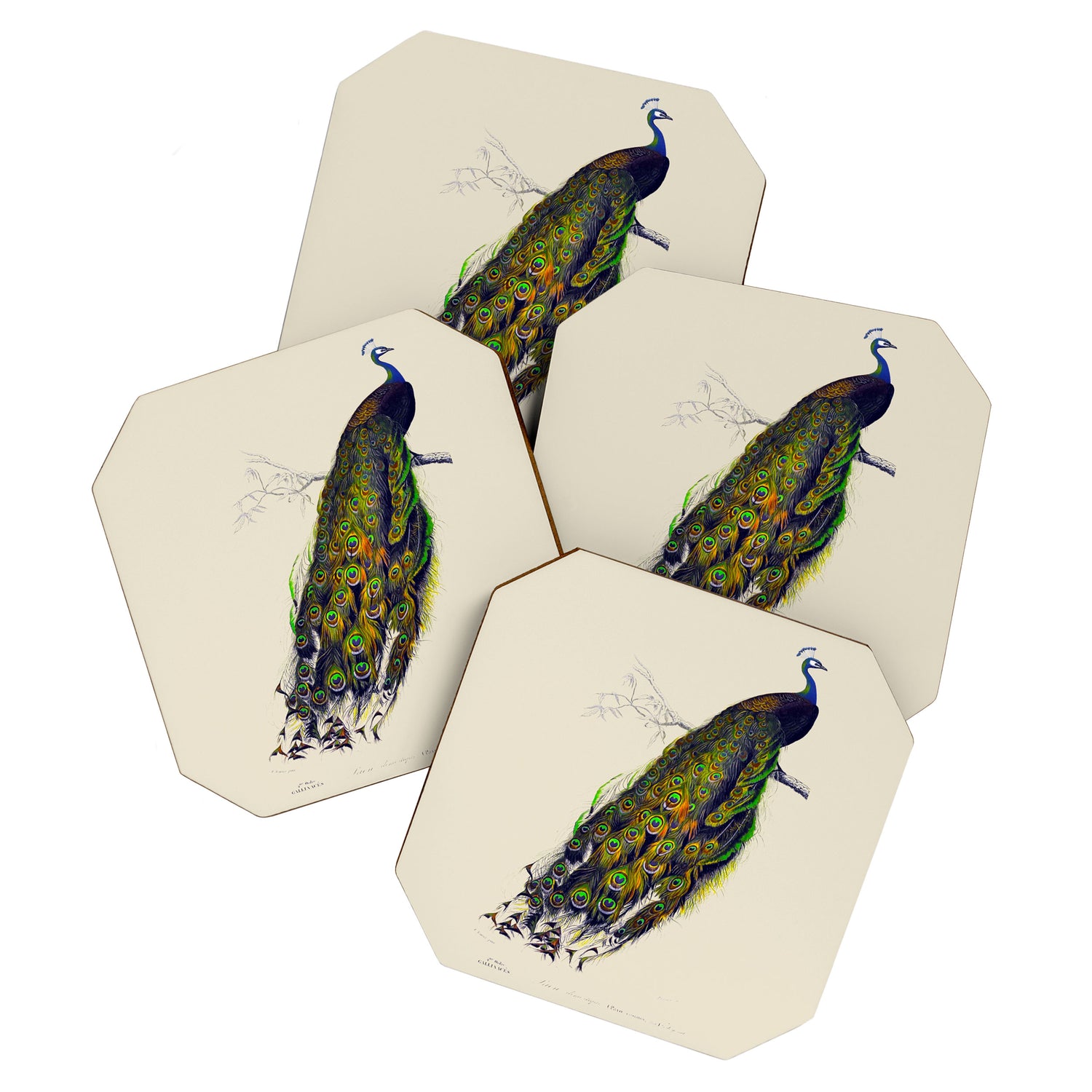 Vintage Peacock Coaster Gallery Image 1