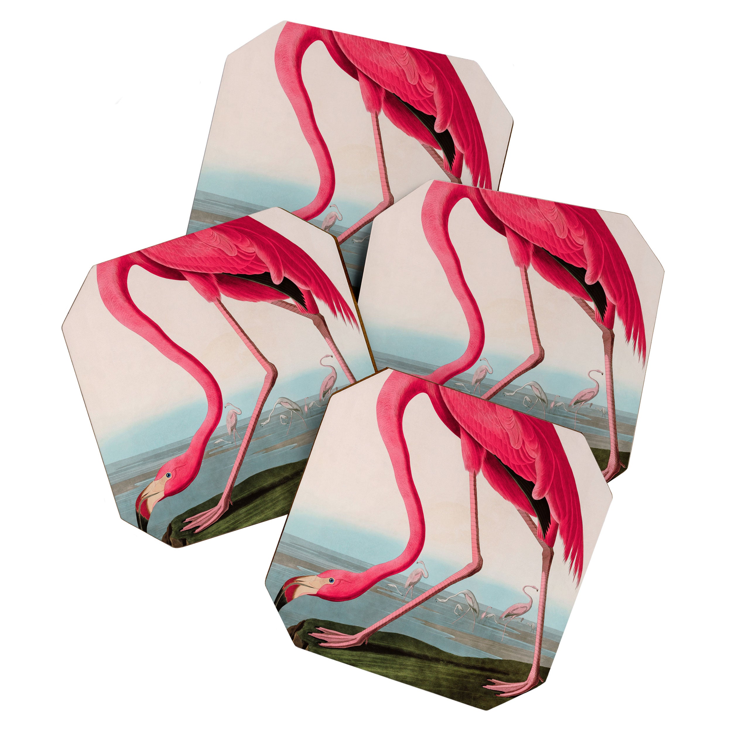 American Flamingo Birds of America Audubon Illustration Bird Lovers Gift Coaster Gallery Image 1