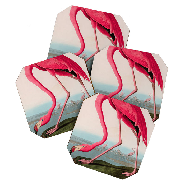 American Flamingo Birds of America Audubon Illustration Bird Lovers Gift Coaster Gallery Image 1