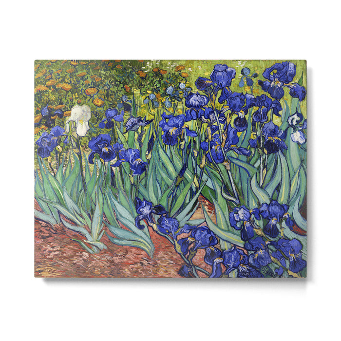 Irises by Vincent van Gogh Metal Print Gallery Image 1
