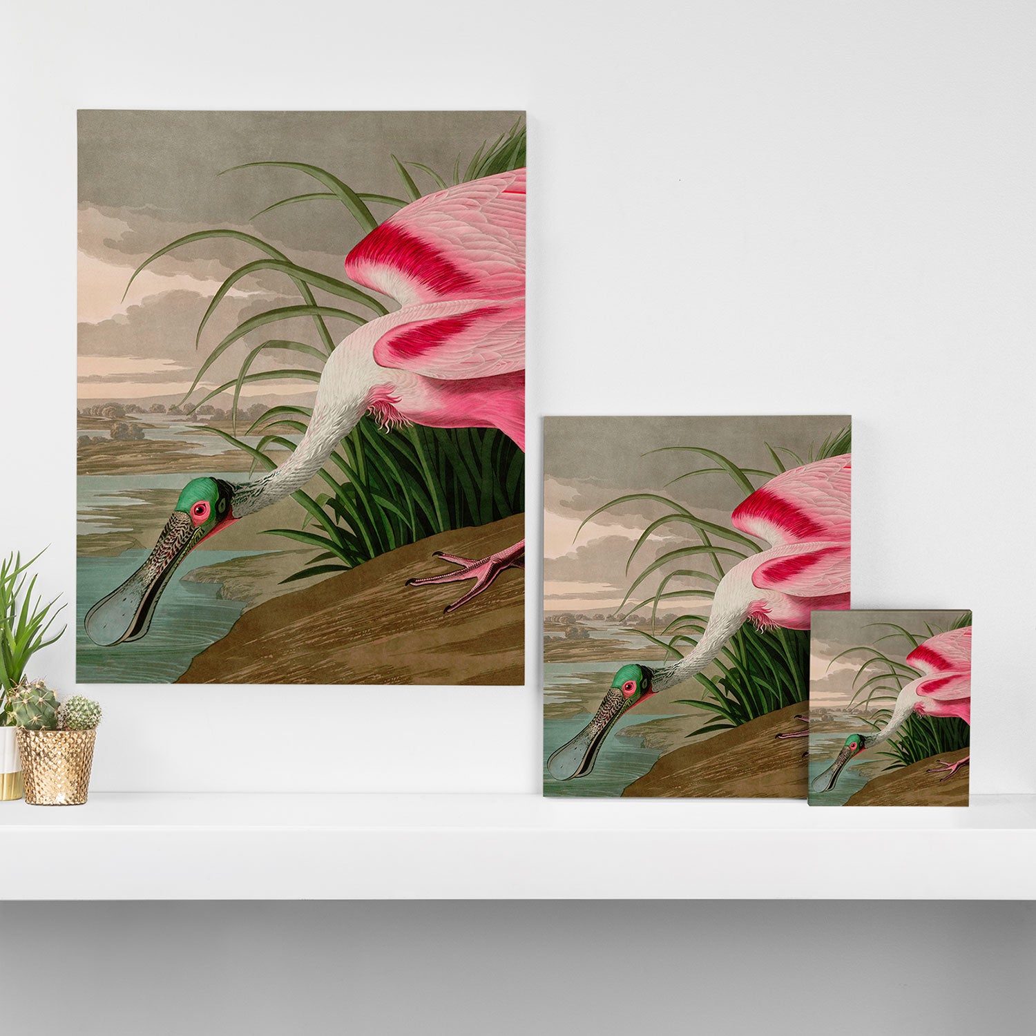 Roseate Spoonbill Birds of America Audubon Illustration Bird Lovers Gift Canvas Print Gallery Image 3