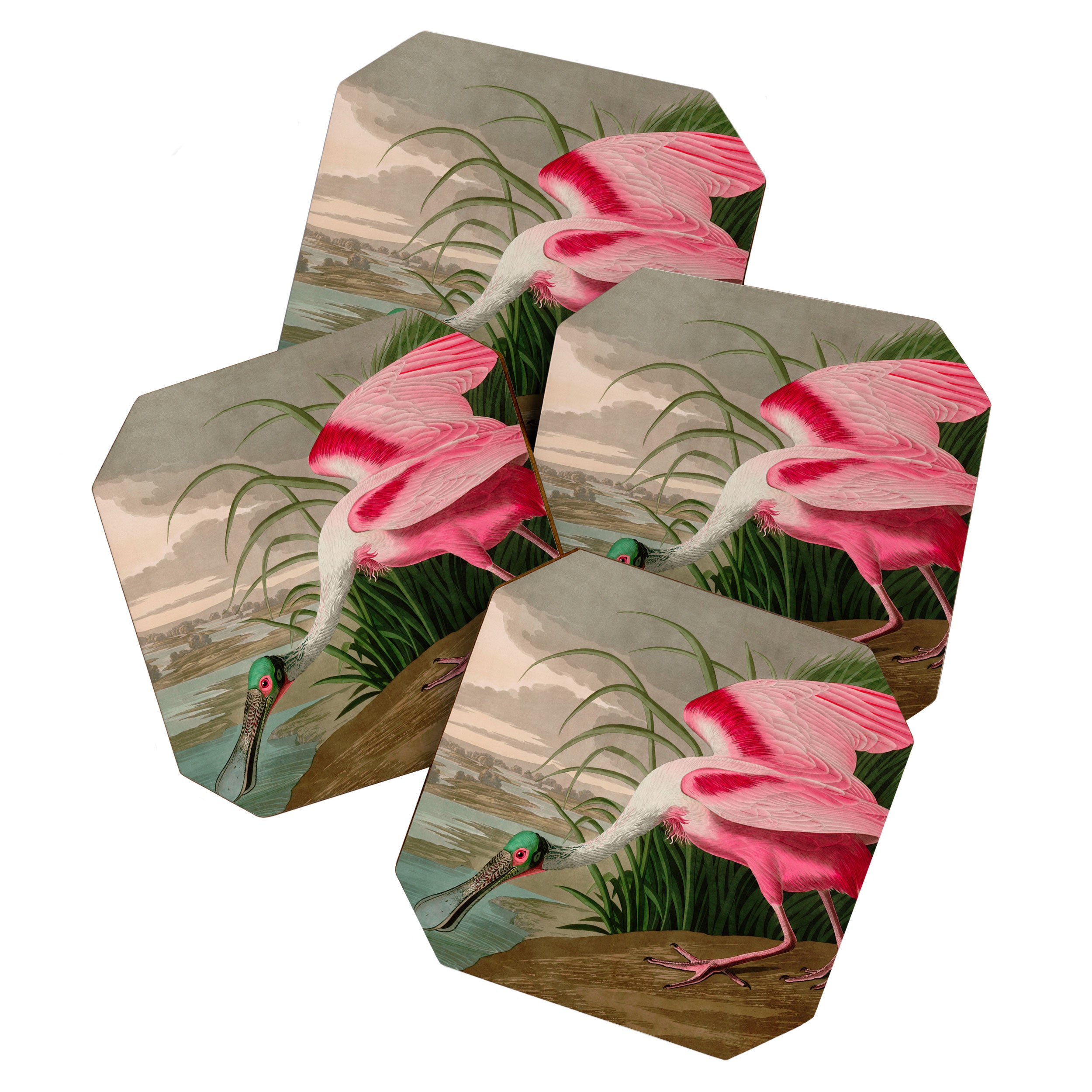 Roseate Spoonbill Birds of America Audubon Illustration Bird Lovers Gift Coaster Gallery Image 1