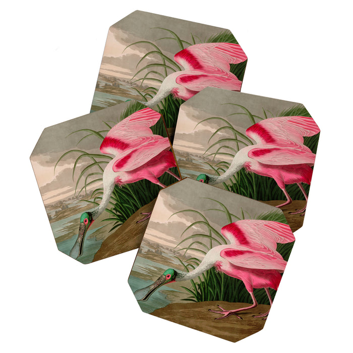 Roseate Spoonbill Birds of America Audubon Illustration Bird Lovers Gift Coaster Gallery Image 1