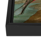 Roseate Spoonbill Birds of America Audubon Illustration Bird Lovers Gift Framed Canvas Print Gallery Image 3