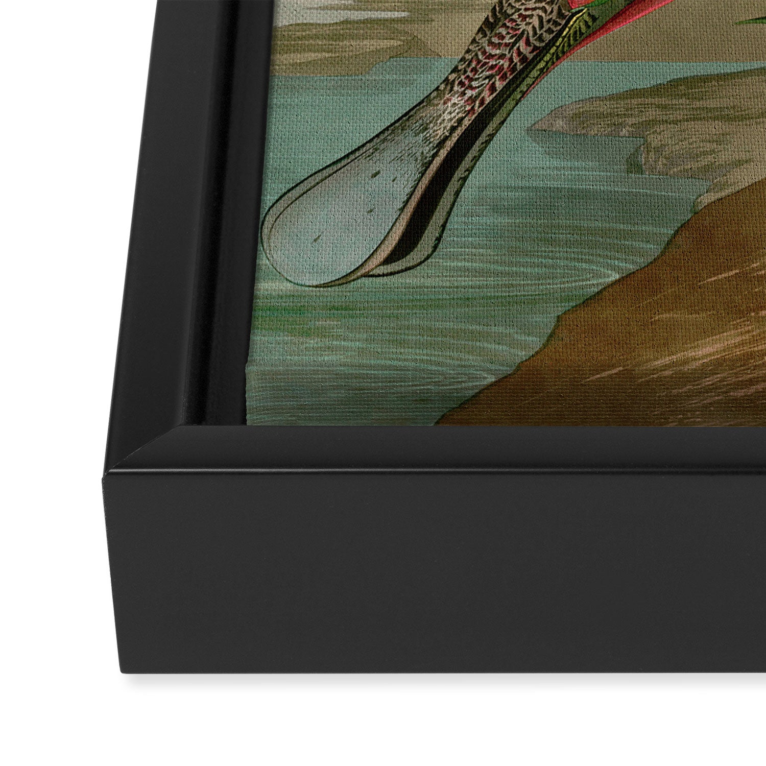 Roseate Spoonbill Birds of America Audubon Illustration Bird Lovers Gift Framed Canvas Print Gallery Image 3