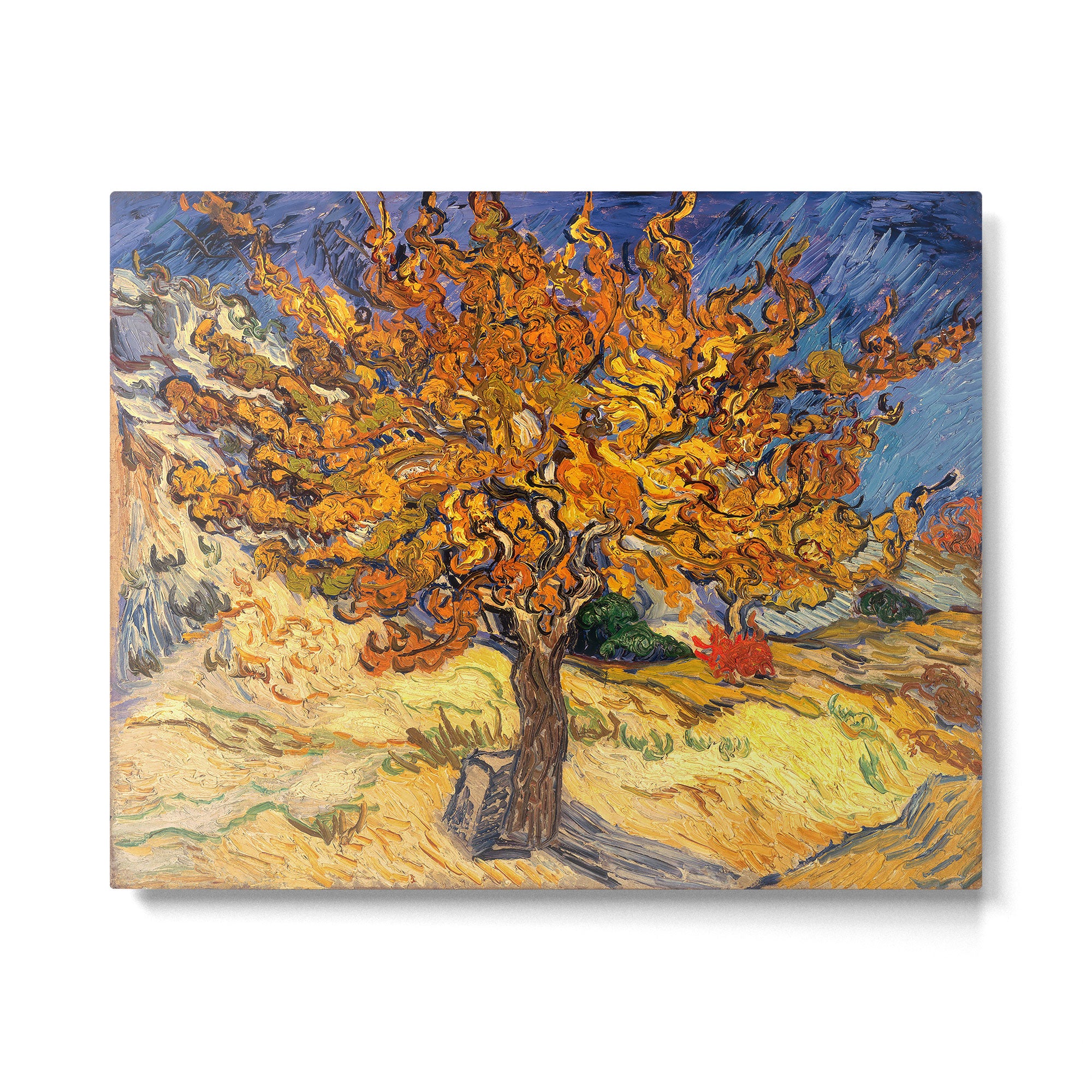 The Mulberry Tree by Vincent van Gogh Metal Print Gallery Image 6