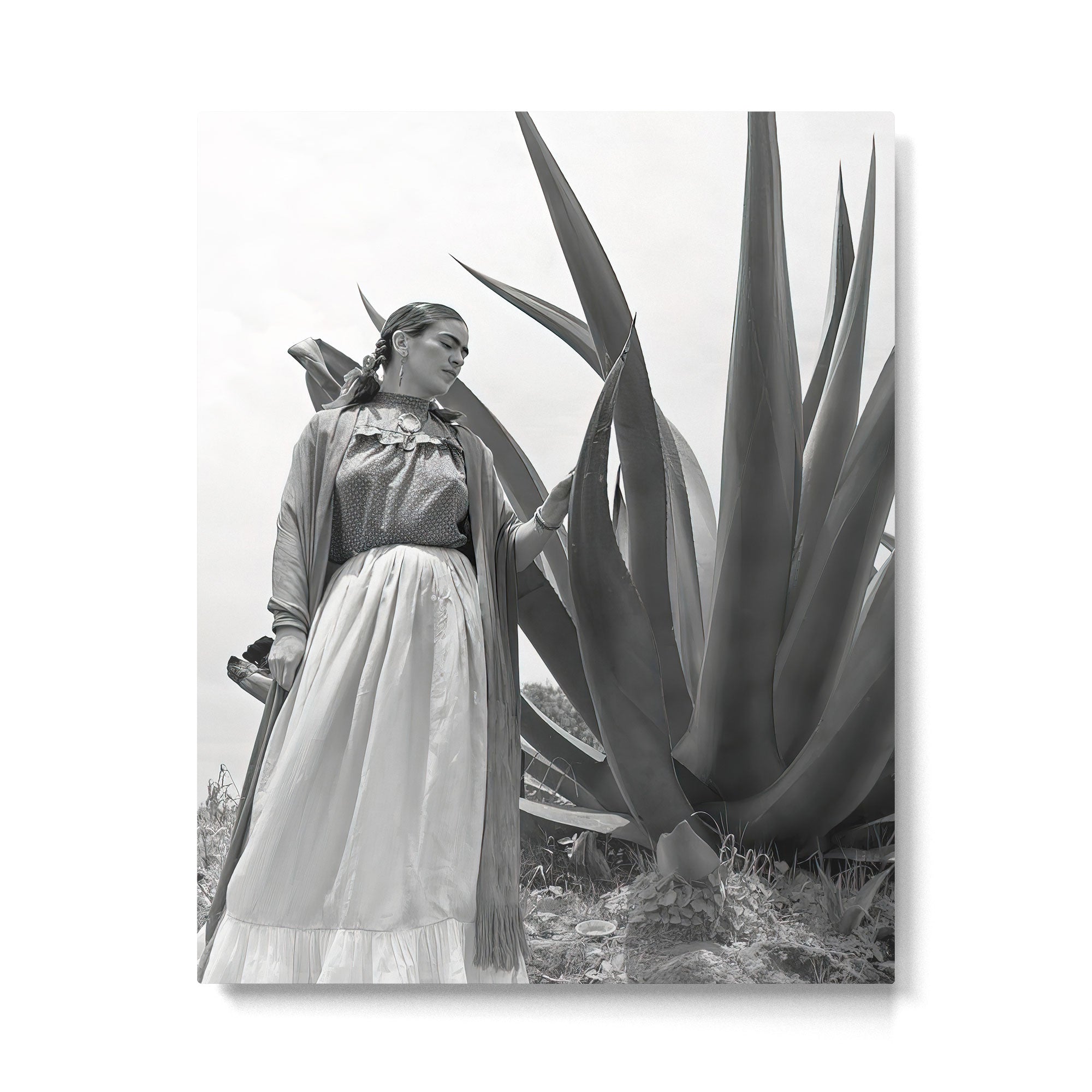 Frida Kahlo and Agave Plant, Black and White, Vintage Art Metal Print Gallery Image 4