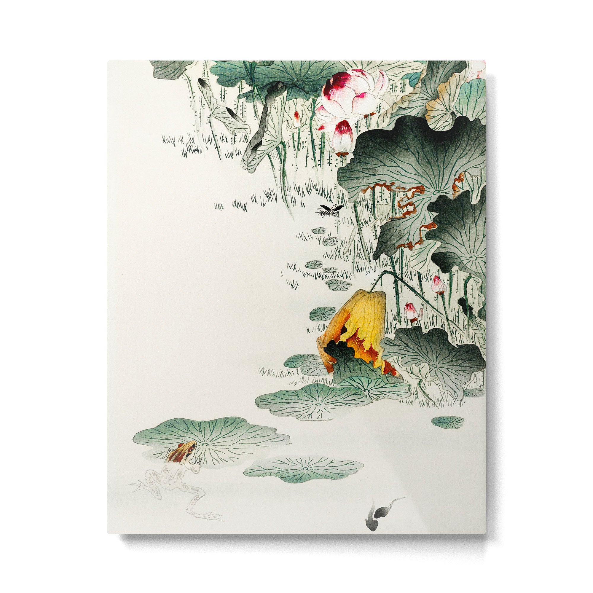 Frog in the swamp  - Vintage Japanese Woodblock Print Art Metal Print Gallery Image 4