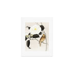 Nightingale on a flowering Camellia - Japanese vintage woodblock print art Art Print Gallery Image 1