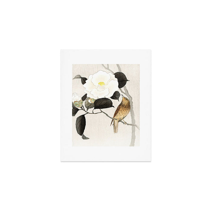 Nightingale on a flowering Camellia - Japanese vintage woodblock print art Art Print Gallery Image 1