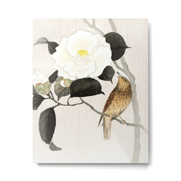 Nightingale on a flowering Camellia - Japanese vintage woodblock print art Metal Print Gallery Image 1