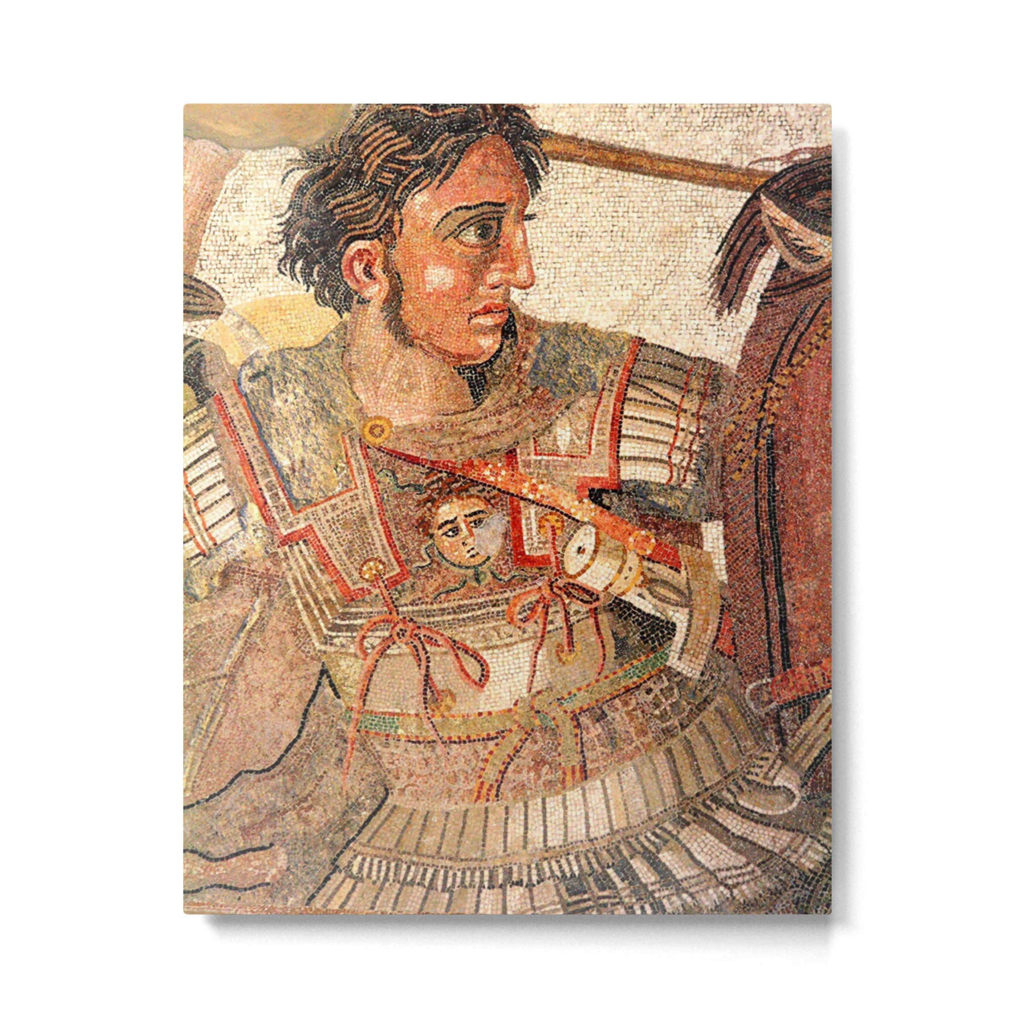 Battle Of Issus Mosaic Alexander The Great Metal Print Gallery Image 4
