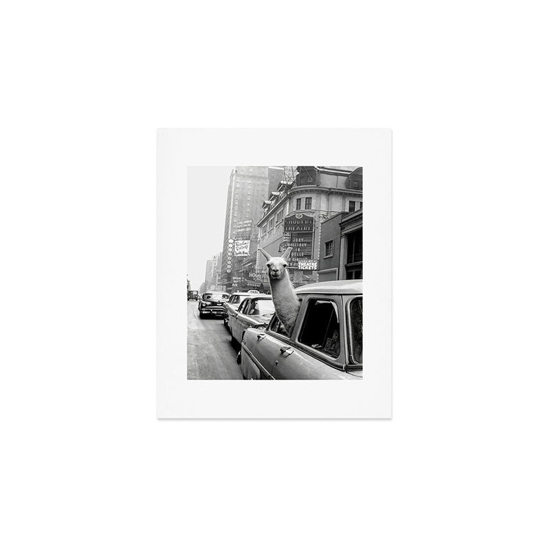Llama Riding In Taxi Art Print Gallery Image 1