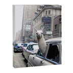Llama Riding In Taxi In Color Canvas Print Gallery Image 6