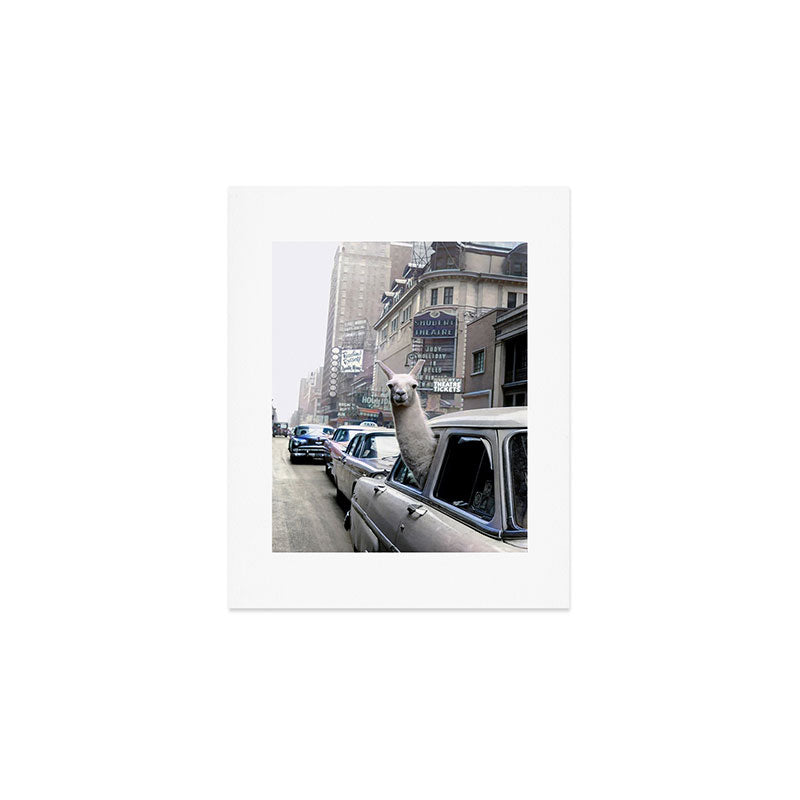Llama Riding In Taxi In Color Art Print Gallery Image 1