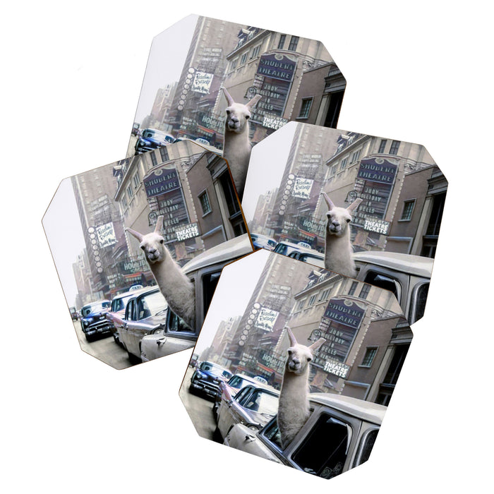Llama Riding In Taxi In Color Coaster Gallery Image 1