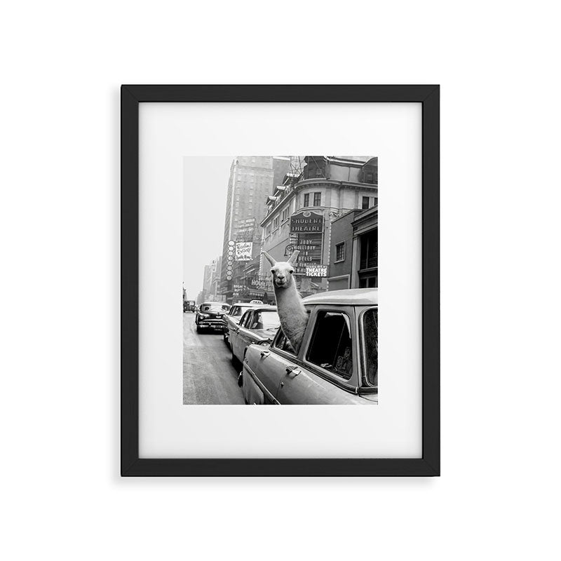 Llama Riding In Taxi Framed Art Print Gallery Image 5