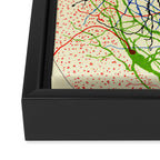 Santiago Ramón Y Cajal Nerve Cells Framed Canvas Print Gallery Image 3
