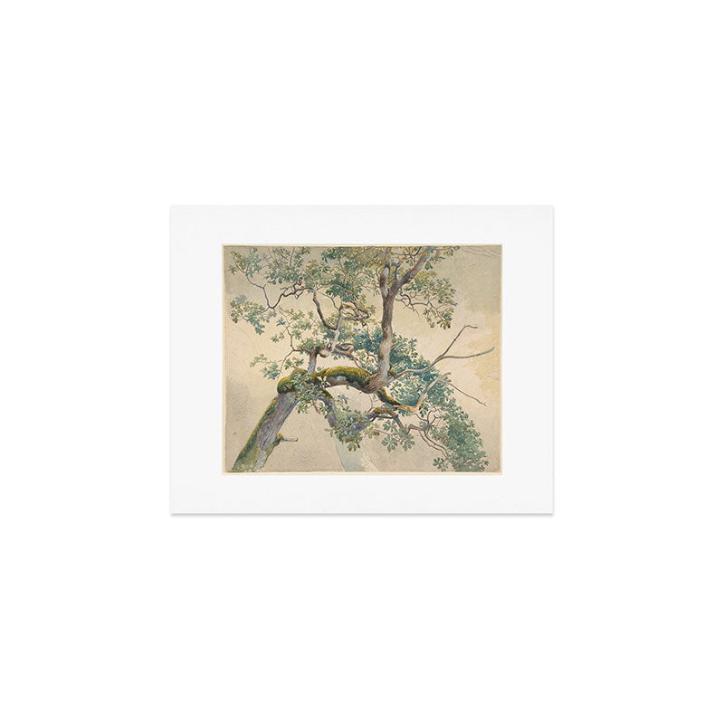 Tree Branches 1852â1908 Charles Reginald Aston Art Print Gallery Image 1